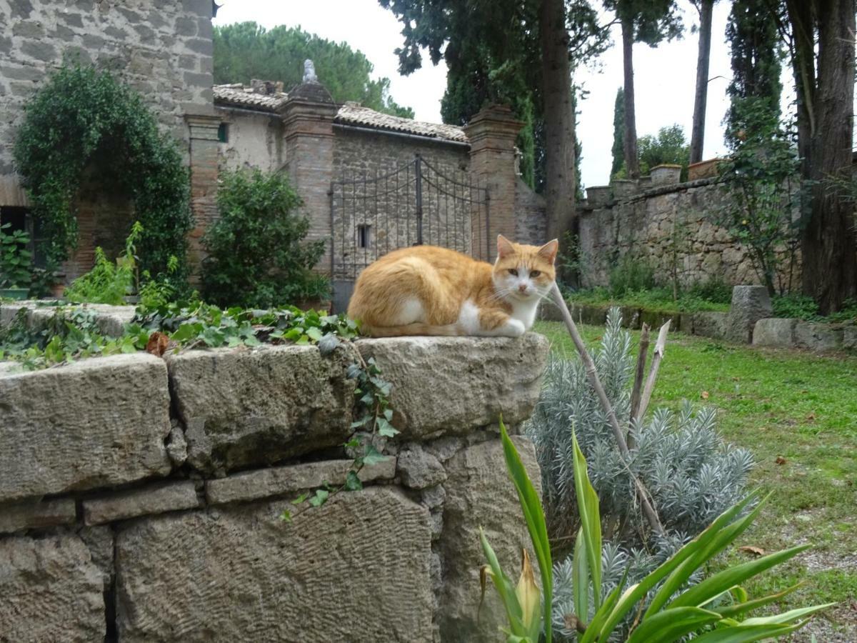 Appartamenti Lais In Sipicciano Exterior foto